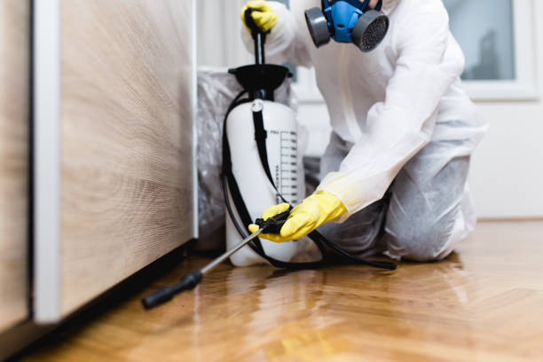Best Pest Control Near Me  in Auburn, WA
