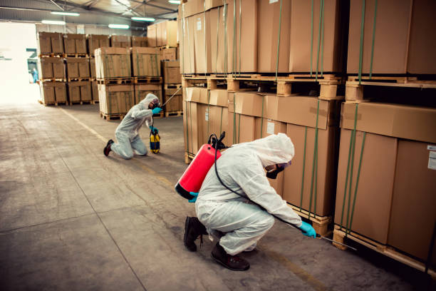 Best Mosquito Control Services  in Auburn, WA
