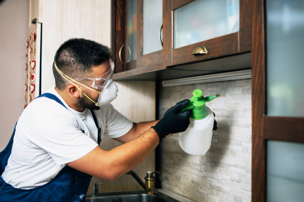 Best Cockroach Control Services  in Auburn, WA