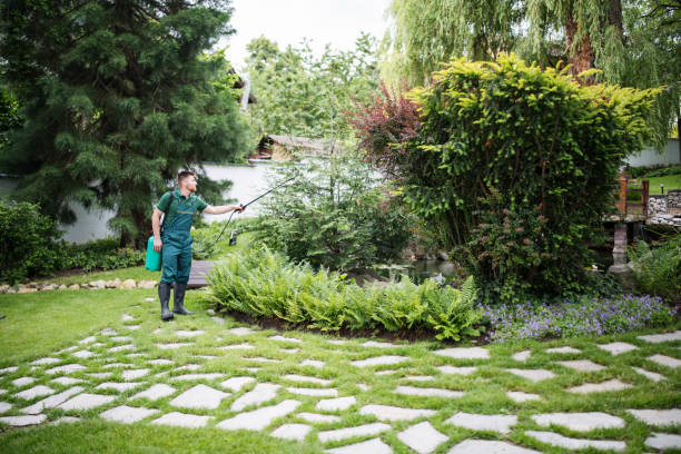 Best Pest Removal Services  in Auburn, WA