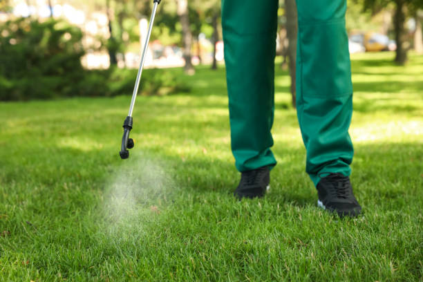 Best Best Pest Control Companies  in Auburn, WA