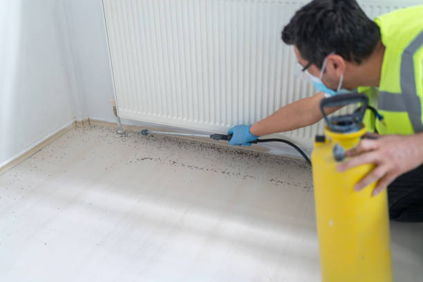Reliable Auburn, WA Pest Control Solutions
