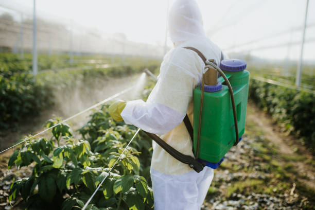 Best Pest Prevention Services  in Auburn, WA